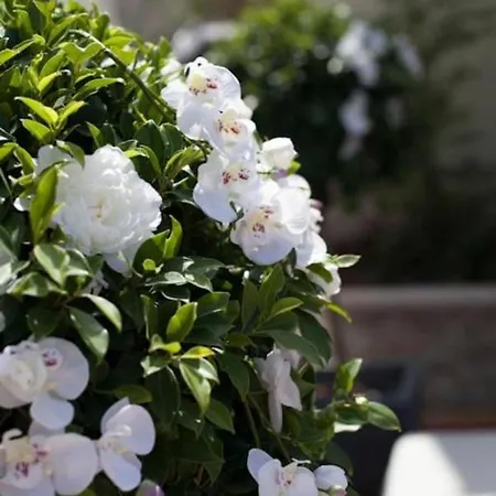 Restaurante El Corte فندق